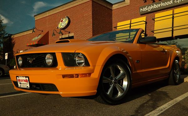 What did you do with your Mustang today?*-c24.jpg