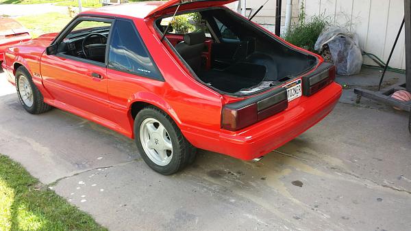 What did you do with your Mustang today?*-2454.jpeg