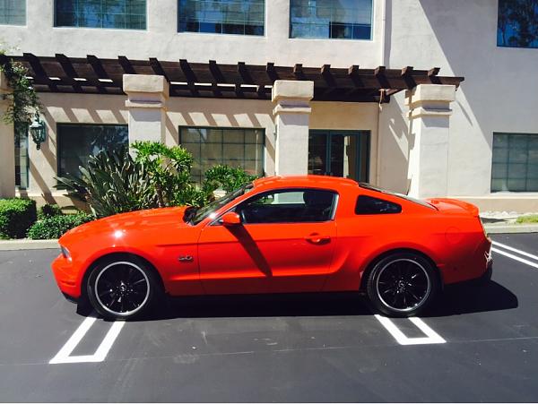 What did you do with your Mustang today?*-photo733.jpg