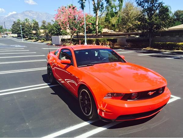 What did you do with your Mustang today?*-photo144.jpg