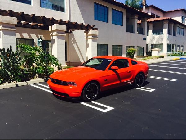 What did you do with your Mustang today?*-photo288.jpg