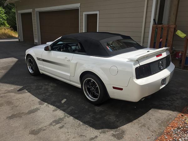 Ponies on The Run!-image.jpg