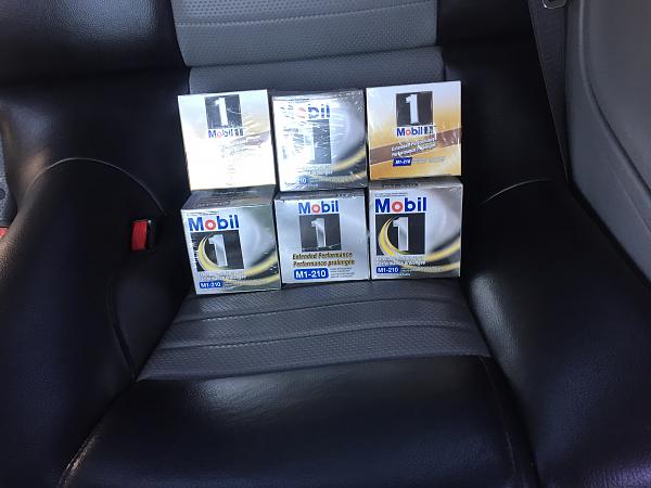 What did you do with your Mustang today?*-image.jpg