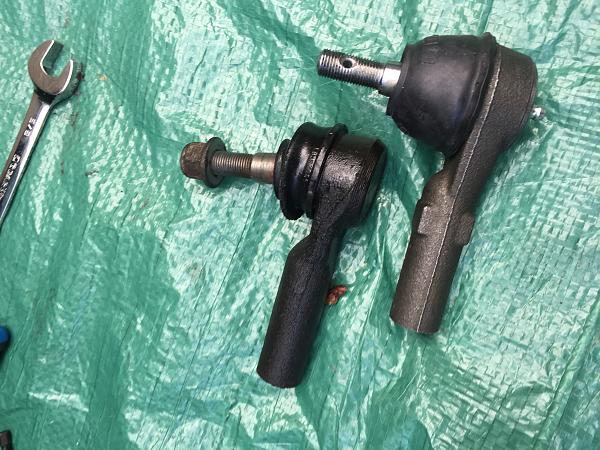 What did you do with your Mustang today?*-image.jpeg