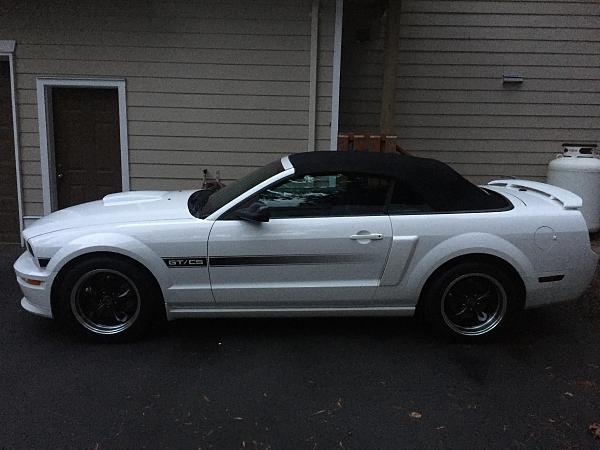 What did you do with your Mustang today?*-image.jpeg