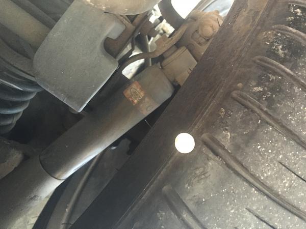 What did you do with your Mustang today?*-image.jpeg