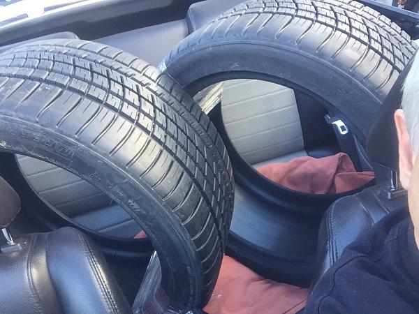 What did you do with your Mustang today?*-image.jpeg