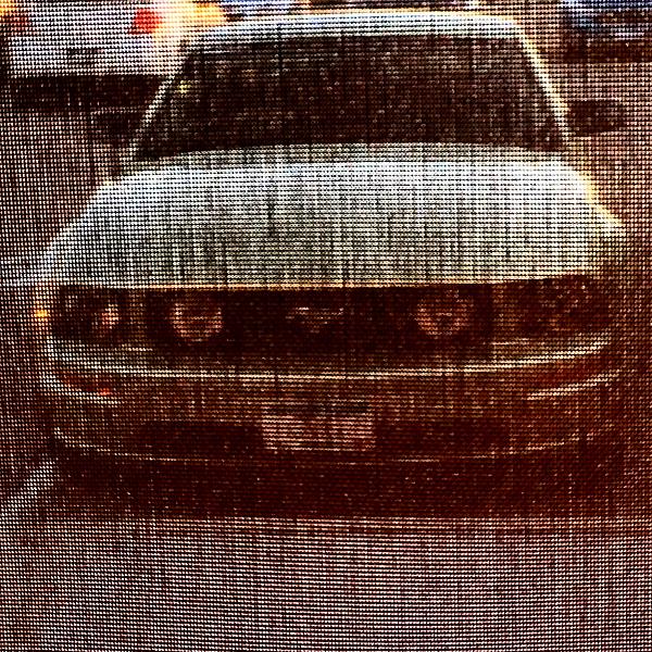 What did you do with your Mustang today?*-image.jpeg