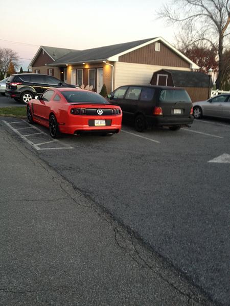 What did you do with your Mustang today?*-image-2766410143.jpg