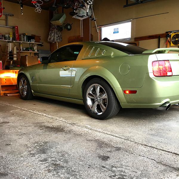 What did you do with your Mustang today?*-image.jpeg