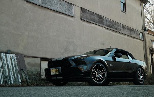 What did you do with your Mustang today?*-030-copy-2-.jpg