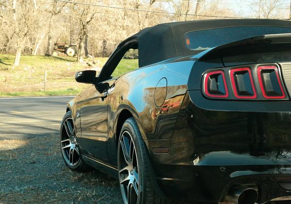 What did you do with your Mustang today?*-039.jpg