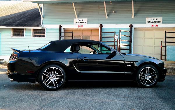 What did you do with your Mustang today?*-073.jpg