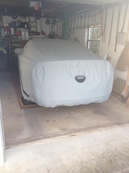 What did you do with your Mustang today?*-image-670881174.jpg