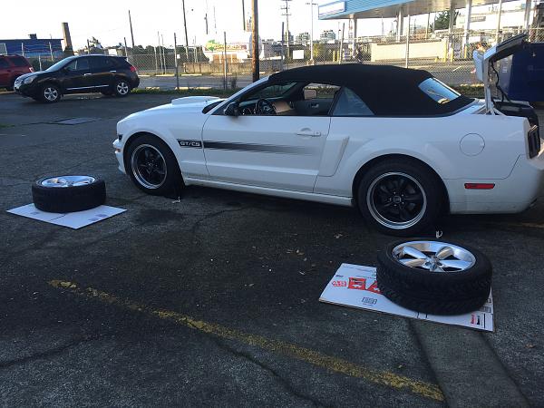What did you do with your Mustang today?*-image.jpeg