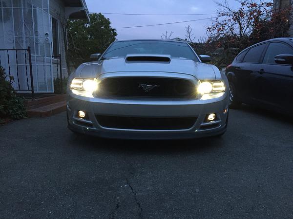 What did you do with your Mustang today?*-photo510.jpg