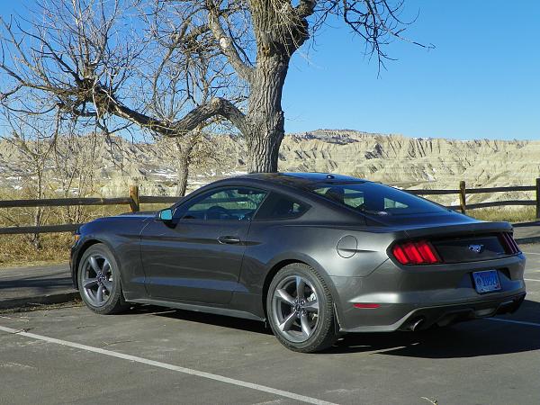 What did you do with your Mustang today?*-100_0574.jpg