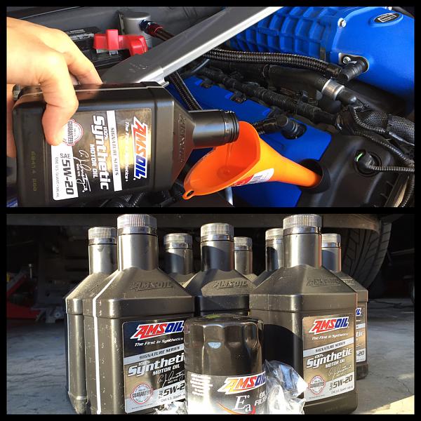 What did you do with your Mustang today?*-photo880.jpg