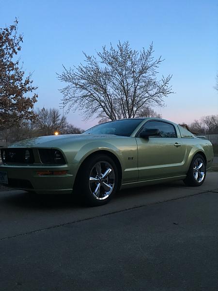 What did you do with your Mustang today?*-photo854.jpg