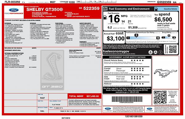 Ponies on The Run!-img_0084.jpg