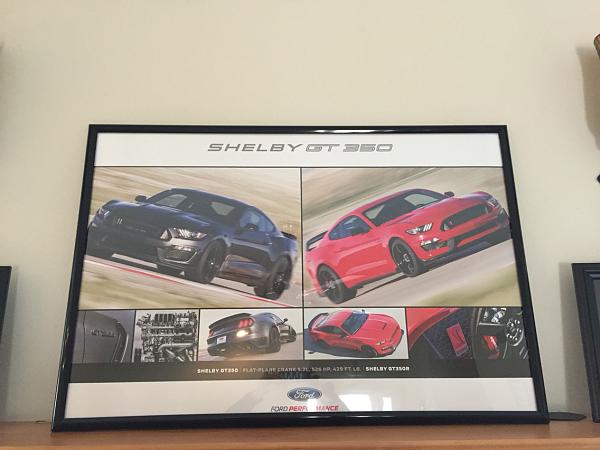 What did you do with your Mustang today?*-photo283.jpg