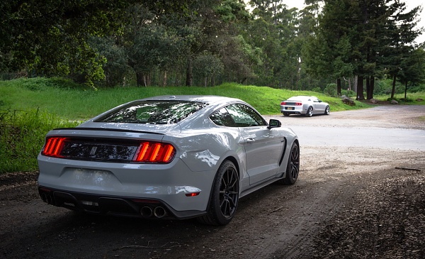 What did you do with your Mustang today?*-photo246.jpg