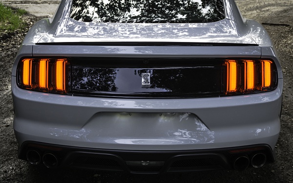 What did you do with your Mustang today?*-photo761.jpg