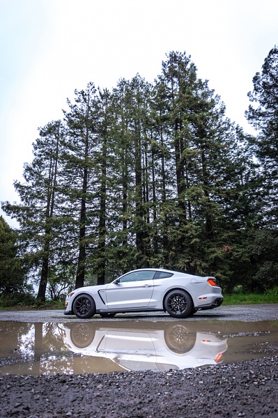 What did you do with your Mustang today?*-photo828.jpg