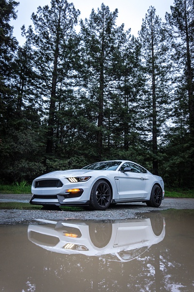 What did you do with your Mustang today?*-photo925.jpg