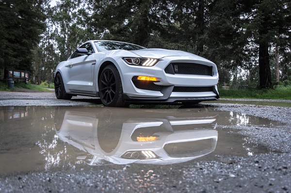 What did you do with your Mustang today?*-photo539.jpg