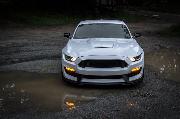What did you do with your Mustang today?*-photo336.jpg