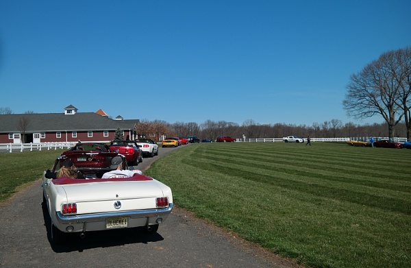 What did you do with your Mustang today?*-sam_4607.jpg