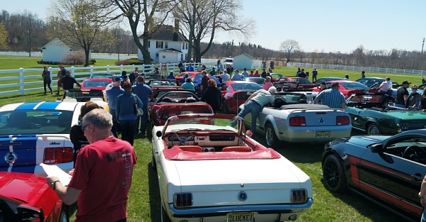 What did you do with your Mustang today?*-sam_4610.jpg