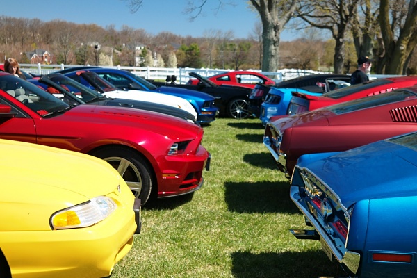 What did you do with your Mustang today?*-sam_4632.jpg