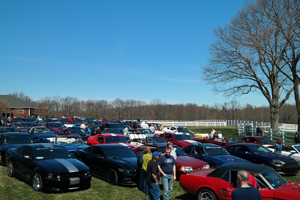 What did you do with your Mustang today?*-sam_4638.jpg