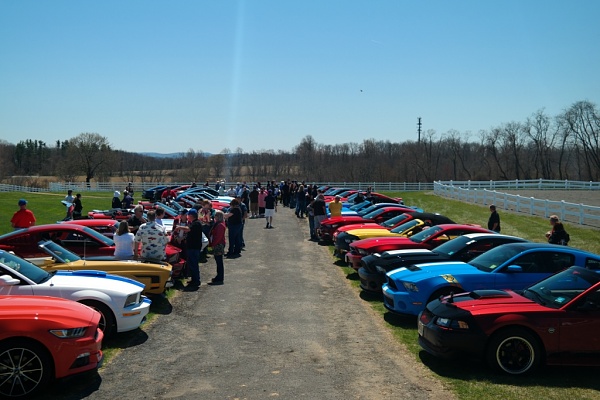 What did you do with your Mustang today?*-sam_4662.jpg