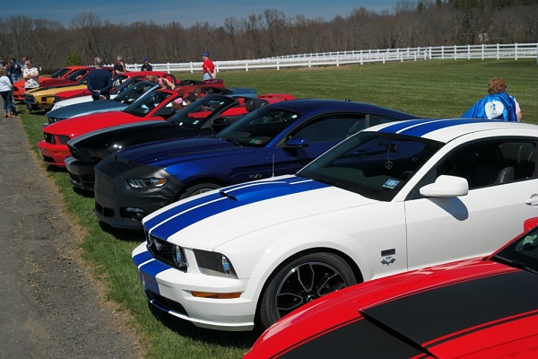 What did you do with your Mustang today?*-sam_4688.jpg
