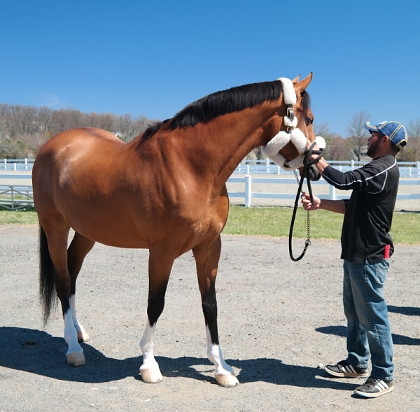 What did you do with your Mustang today?*-sam_4666.jpg