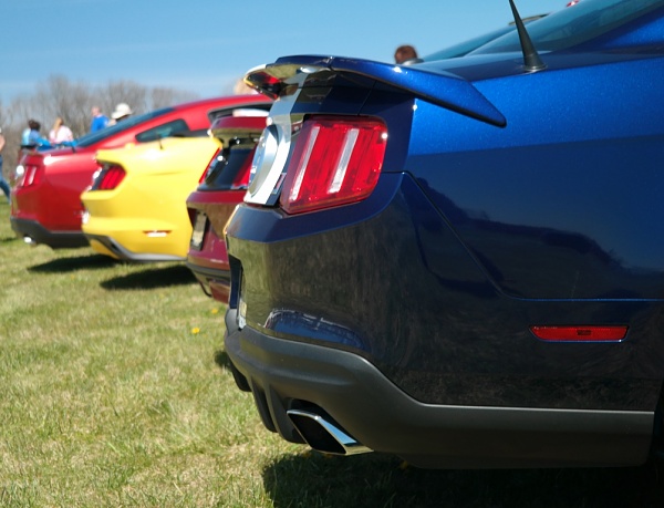 What did you do with your Mustang today?*-sam_4684.jpg