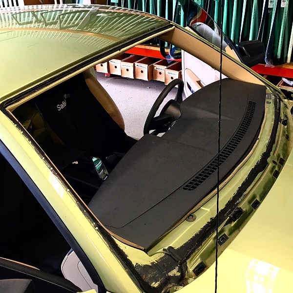 What did you do with your Mustang today?*-image.jpeg