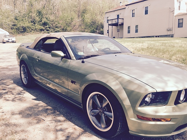Who still loves their S197?-img_1785.jpg
