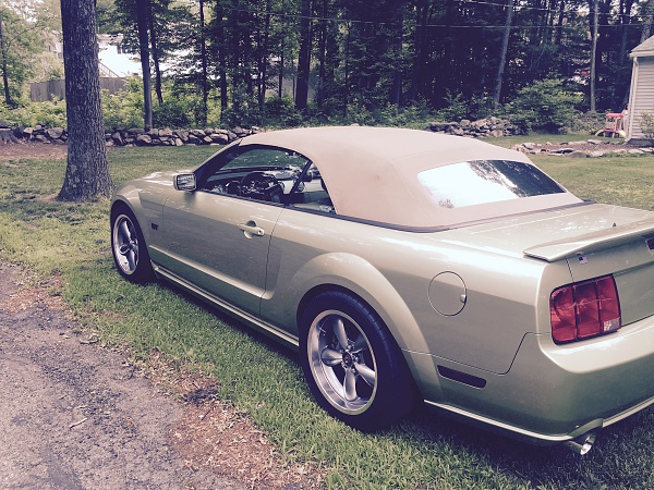 Who still loves their S197?-img_1862.jpg
