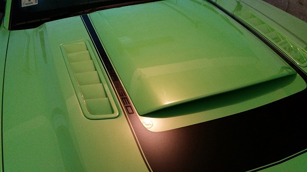 What did you do with your Mustang today?*-162630.jpg