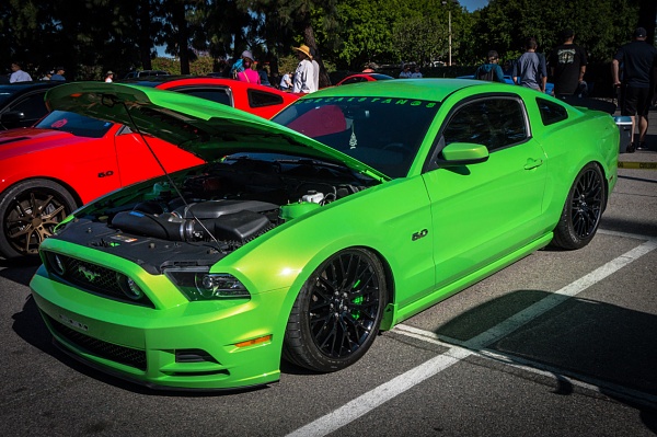 What did you do with your Mustang today?*-photo985.jpg