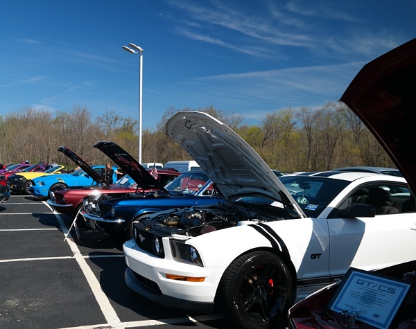 What did you do with your Mustang today?*-compressed-sam_4755.jpg