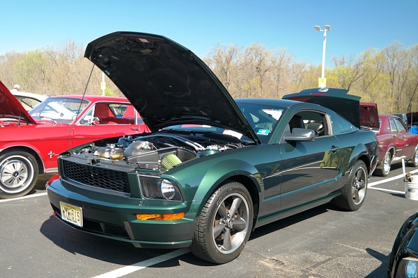 What did you do with your Mustang today?*-compressed-sam_4775.jpg