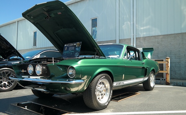 What did you do with your Mustang today?*-compressed-sam_4795.jpg