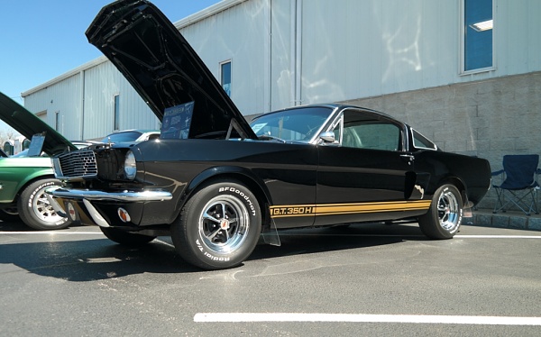 What did you do with your Mustang today?*-compressed-sam_4796.jpg