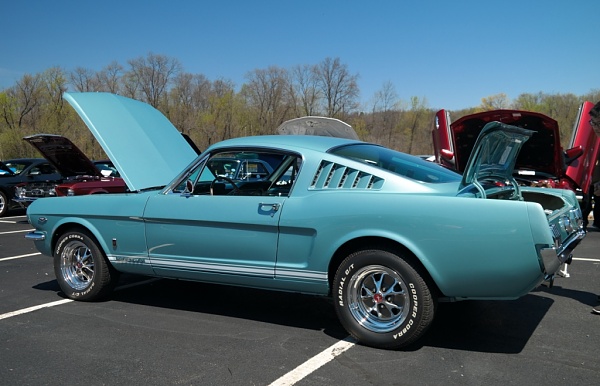 What did you do with your Mustang today?*-compressed-sam_4829.jpg