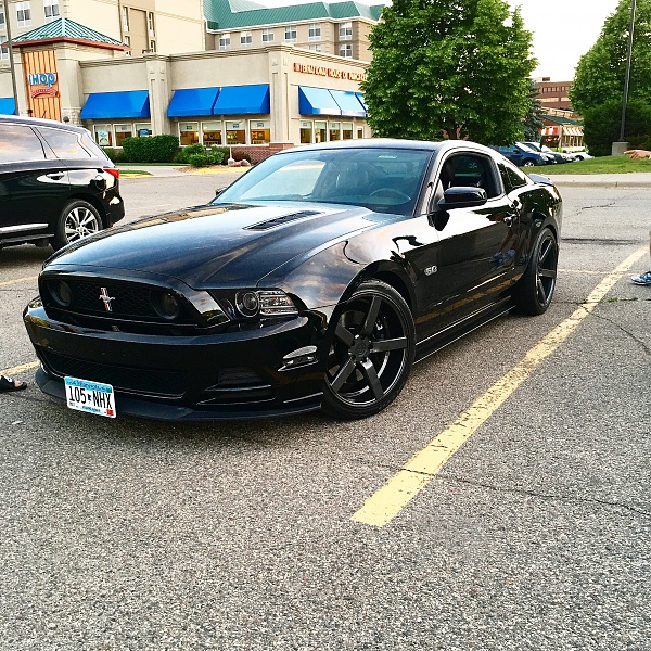 What did you do with your Mustang today?*-image.jpeg